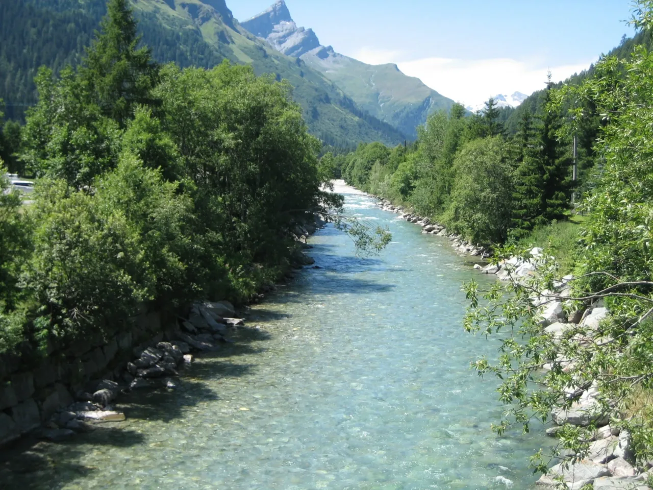 Intervento Svizzera