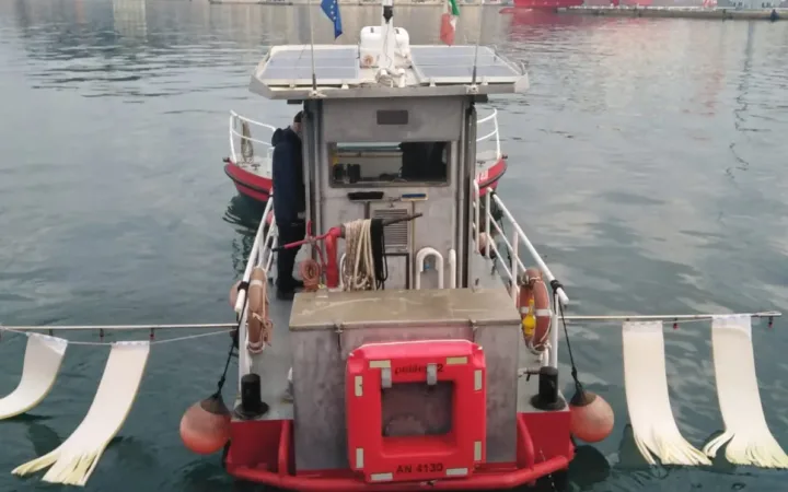 ancora-2