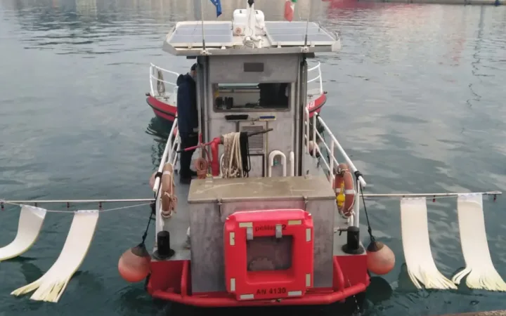 ancora-2