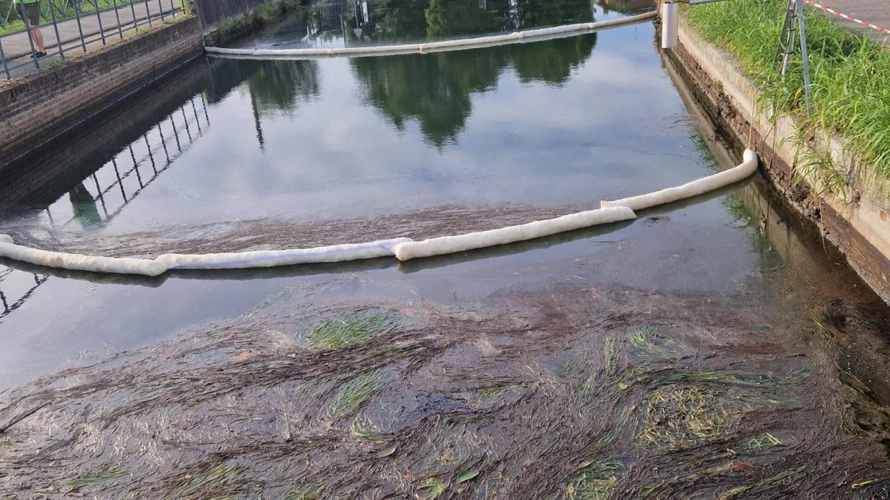Two white absorbent lines stretched across a canal with a dark oil film and floating vegetation upstream