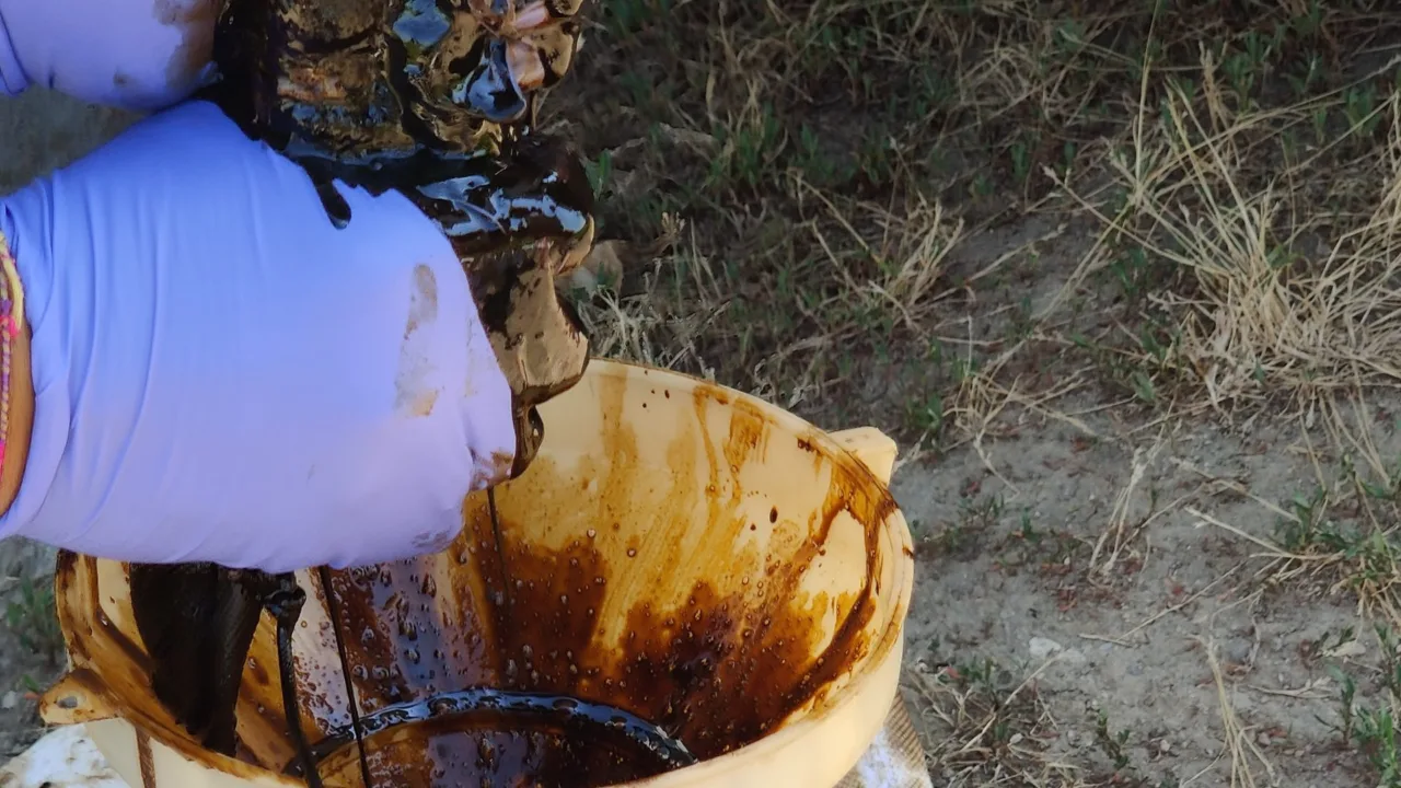 Gloved hand wringing oil-soaked absorbent sock into a funnel with recovered brown product