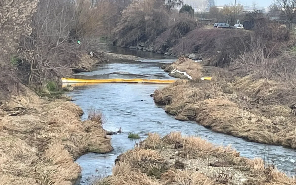 Wide view of the barrier line across a watercourse near the power plant
