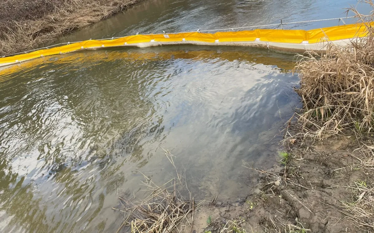 Single T1 barrier line holding the water surface in a bend of the watercourse