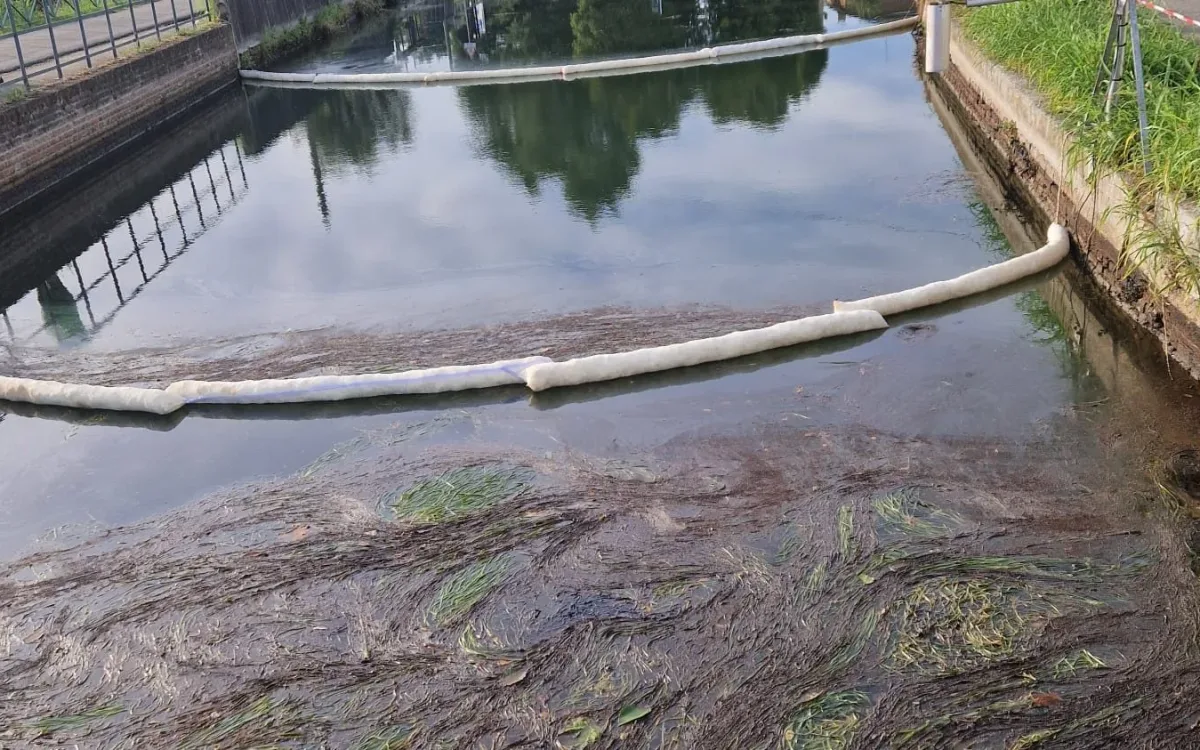 Two white absorbent lines stretched across a canal with a dark oil film and floating vegetation upstream