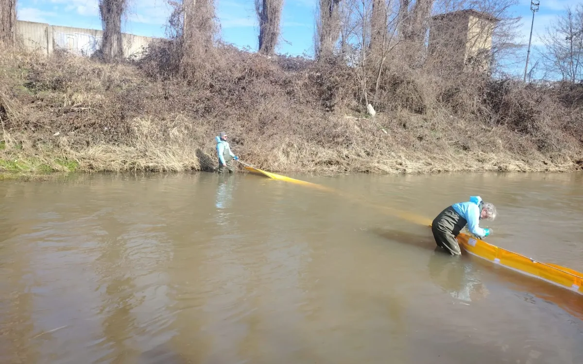 Operators in waders positioning the T1 barrier across a watercourse