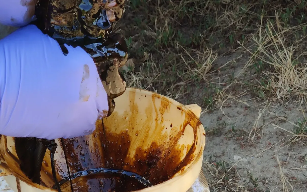 Gloved hand wringing oil-soaked absorbent sock into a funnel with recovered brown product